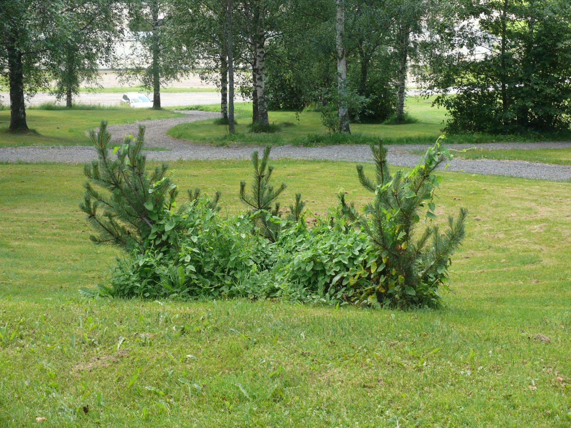 Huoneistohotelli Domusvirrat Buitenkant foto